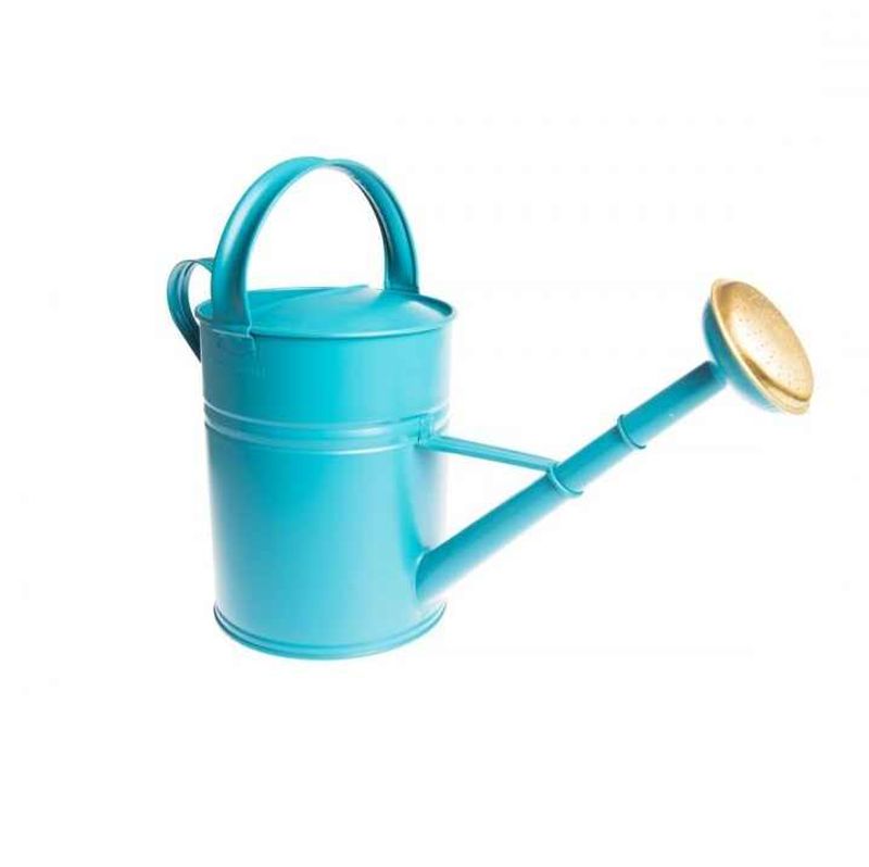Expensive Watering Cans