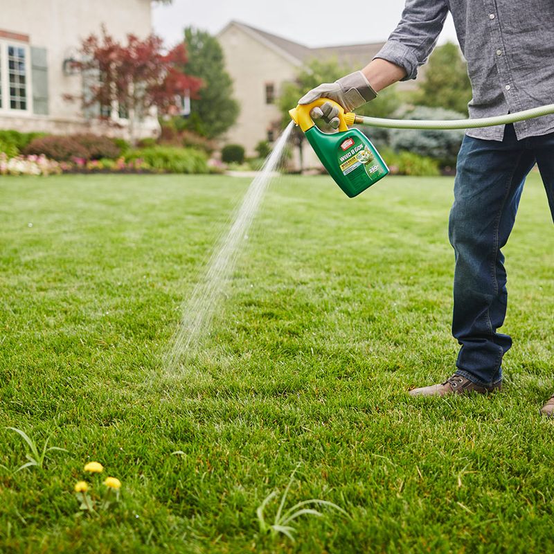 Control Weeds Regularly