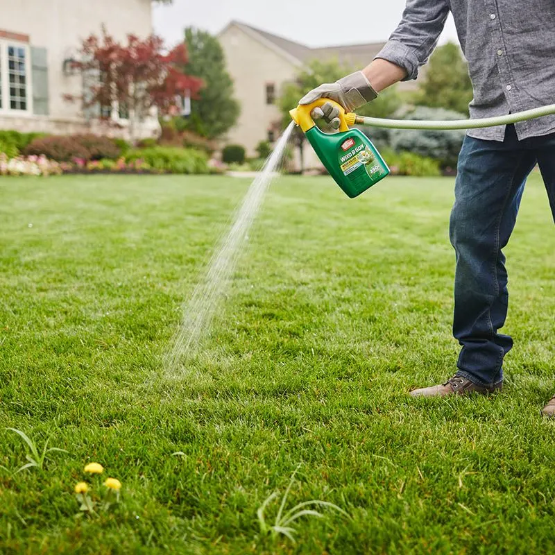 Control Weeds Regularly