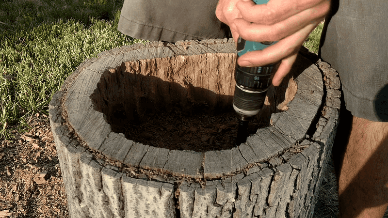 Vegetable Stump Patch