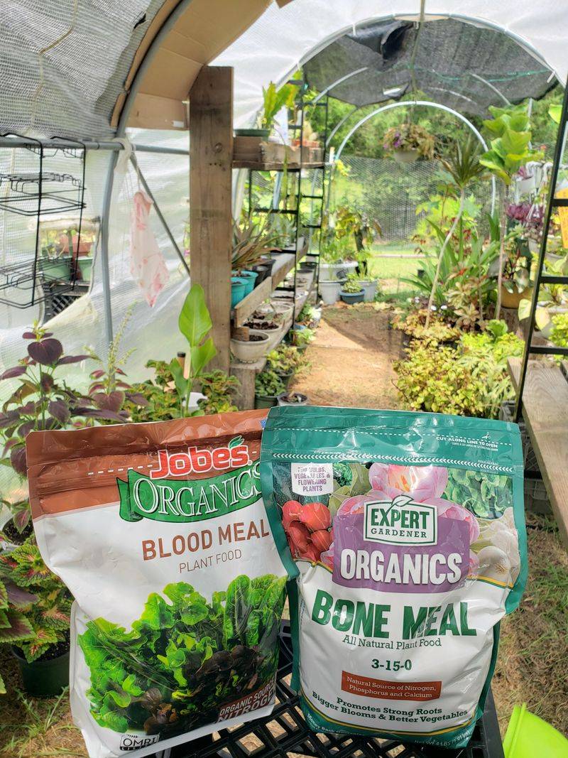 Bone Meal
