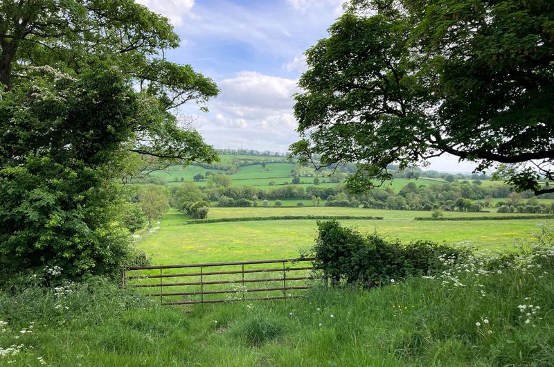 Cotswold Meadows, England