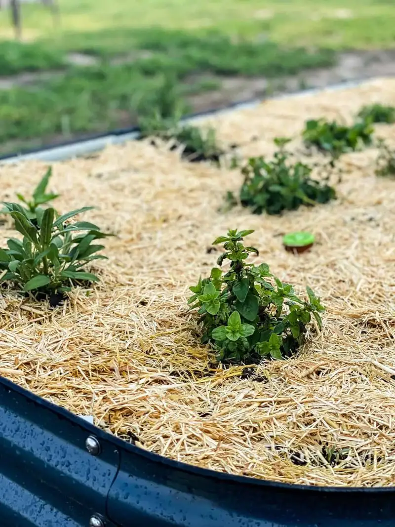 Flower Bed Mulch