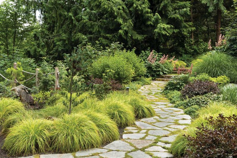 Rustic Woodland Garden