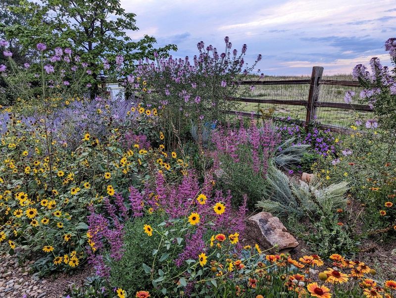 Exotic Ornamentals