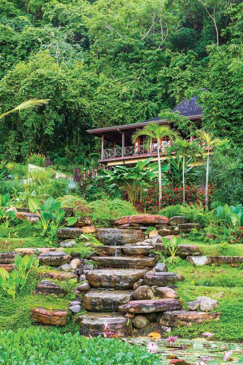 Tropical Paradise Garden
