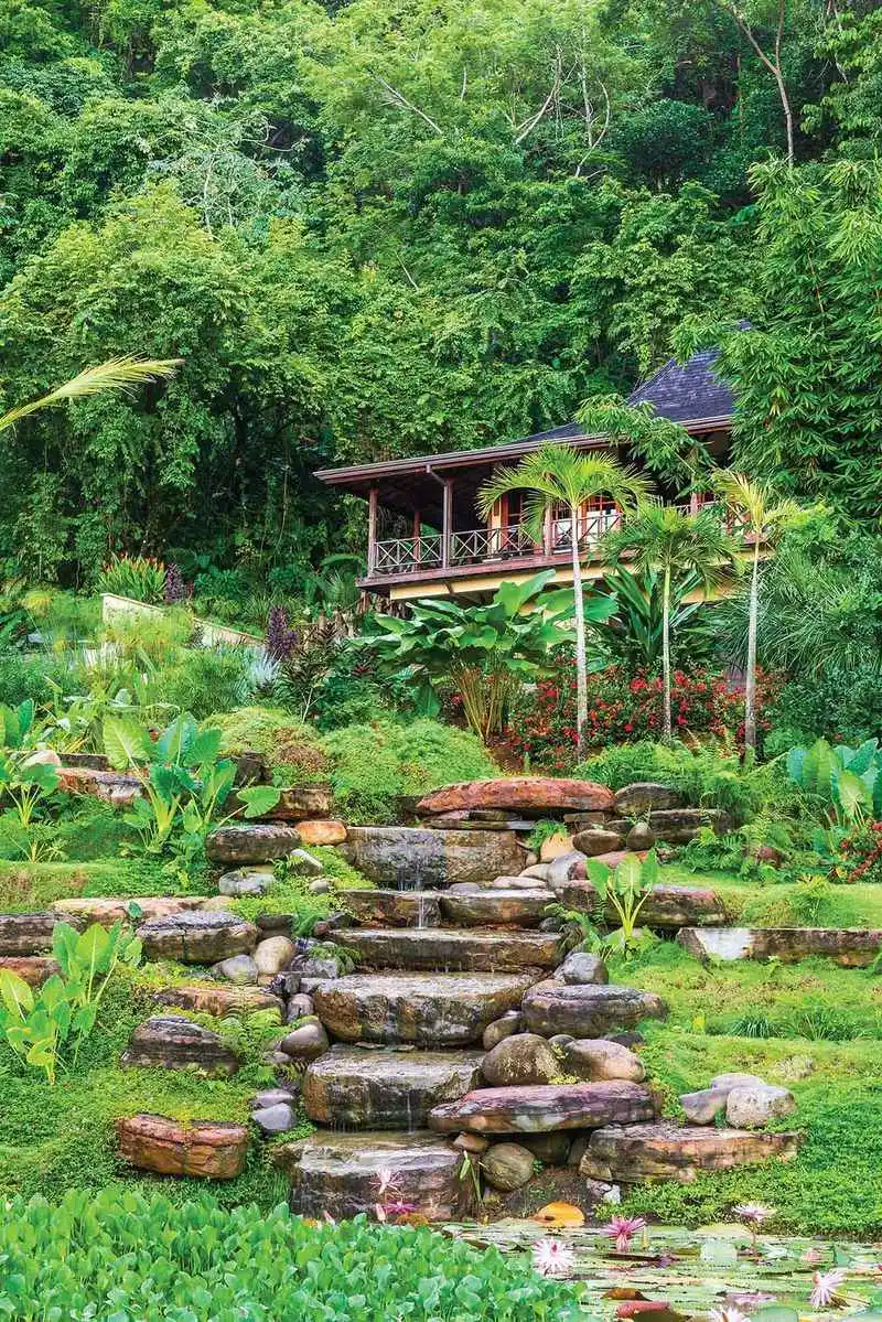 Tropical Paradise Garden