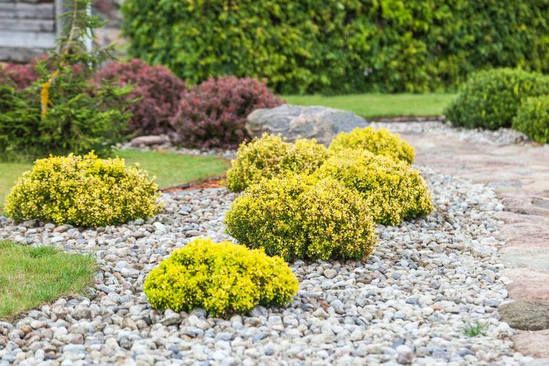 Frequent Plant Replacements