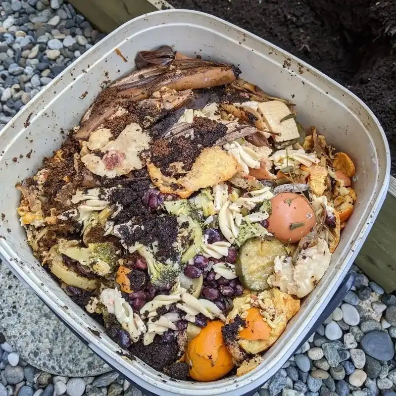 Fruit Scrap Compost