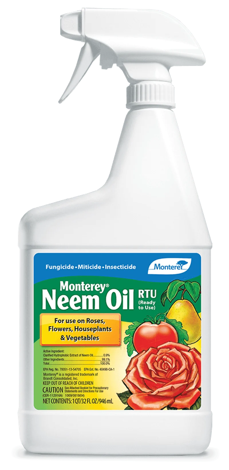 Fungal Disease Prevention