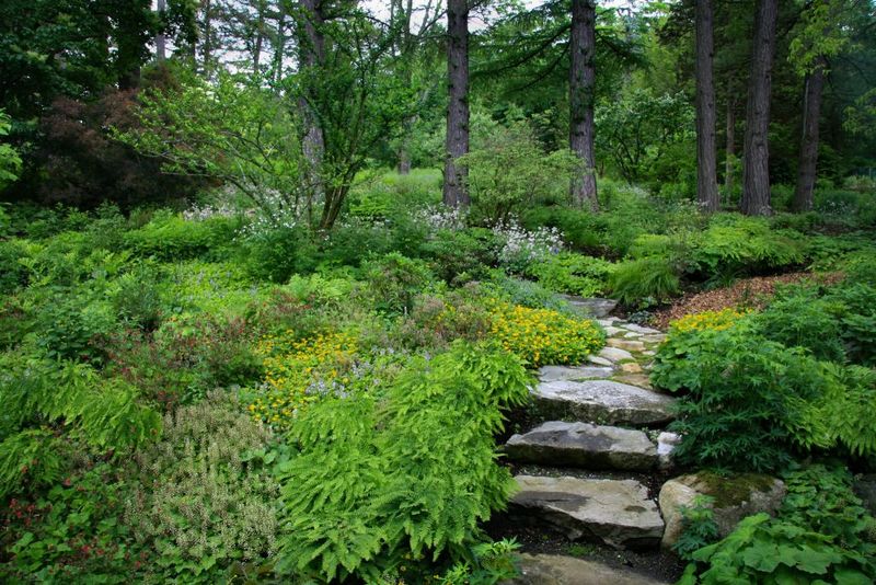 Botanical Wonderland
