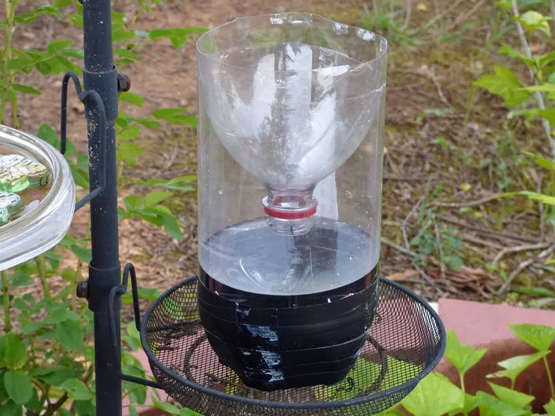 Ant Control