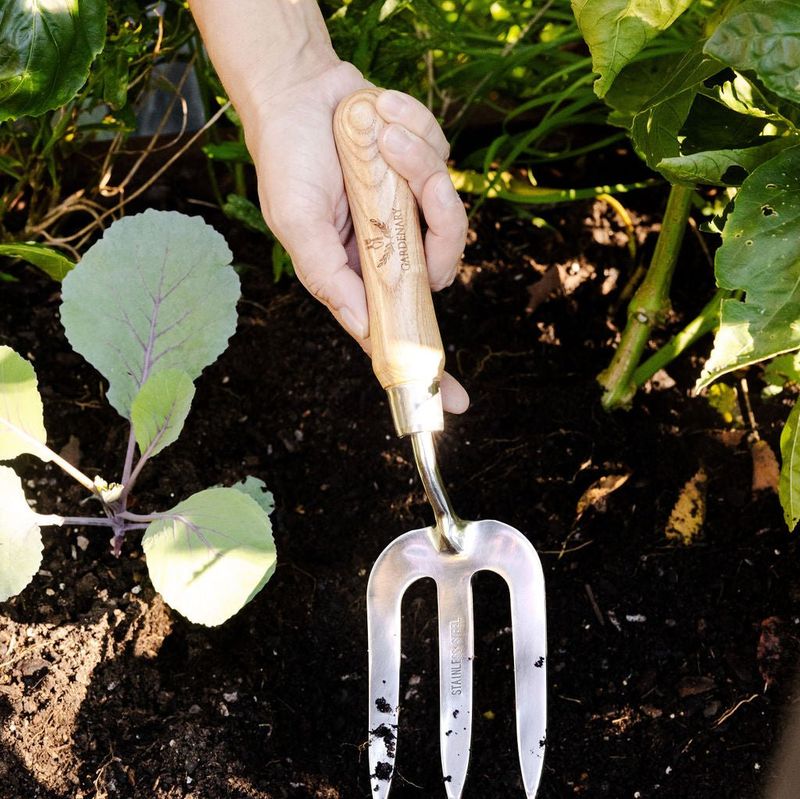 Garden Fork
