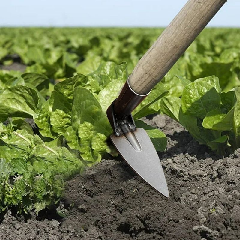 Garden Hoe