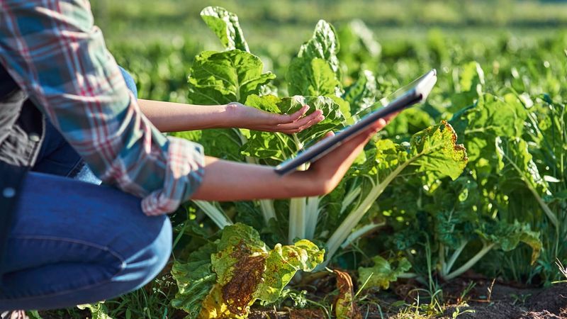 Garden Manager: Plant Alarm