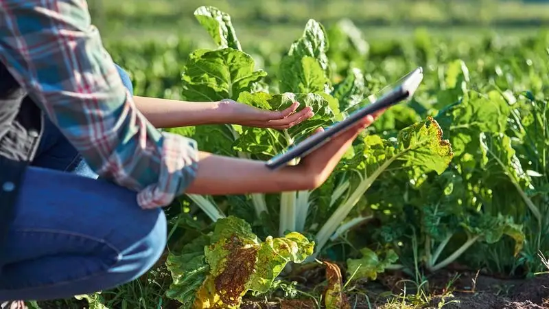 Garden Manager: Plant Alarm