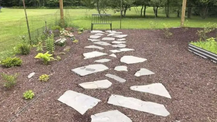 Garden Path Materials That Stay Weed-Free Without Constant Maintenance