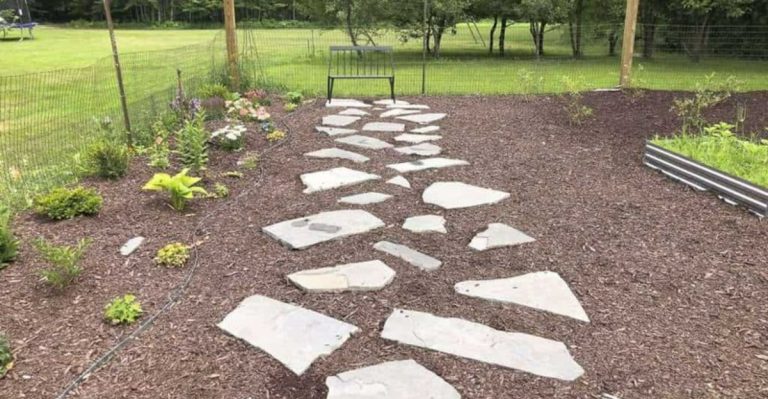 Garden Path Materials That Stay Weed-Free Without Constant Maintenance