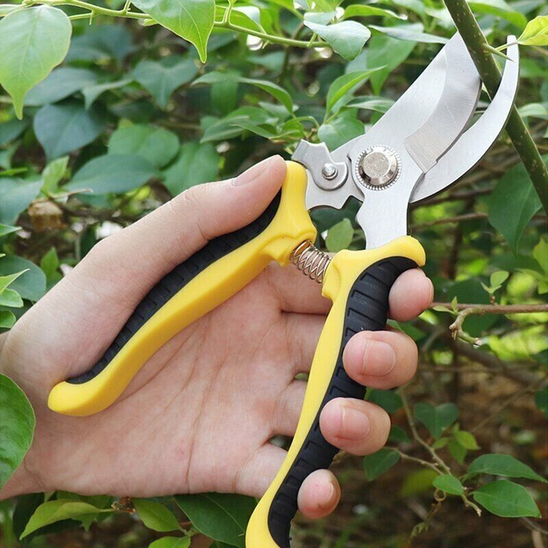 Garden Scissors
