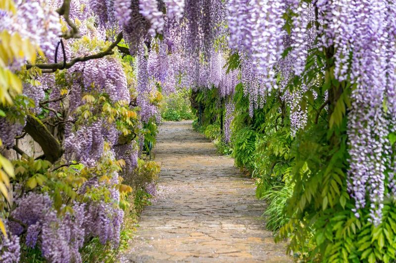Cottage Arbors