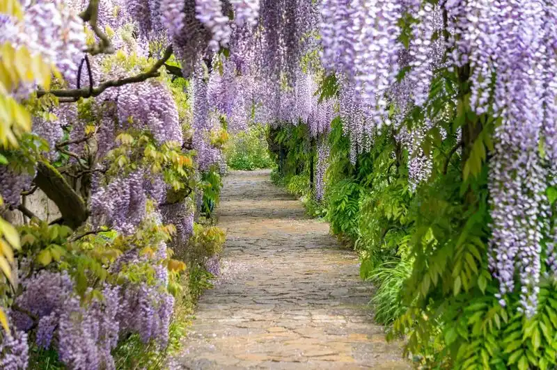 Cottage Arbors