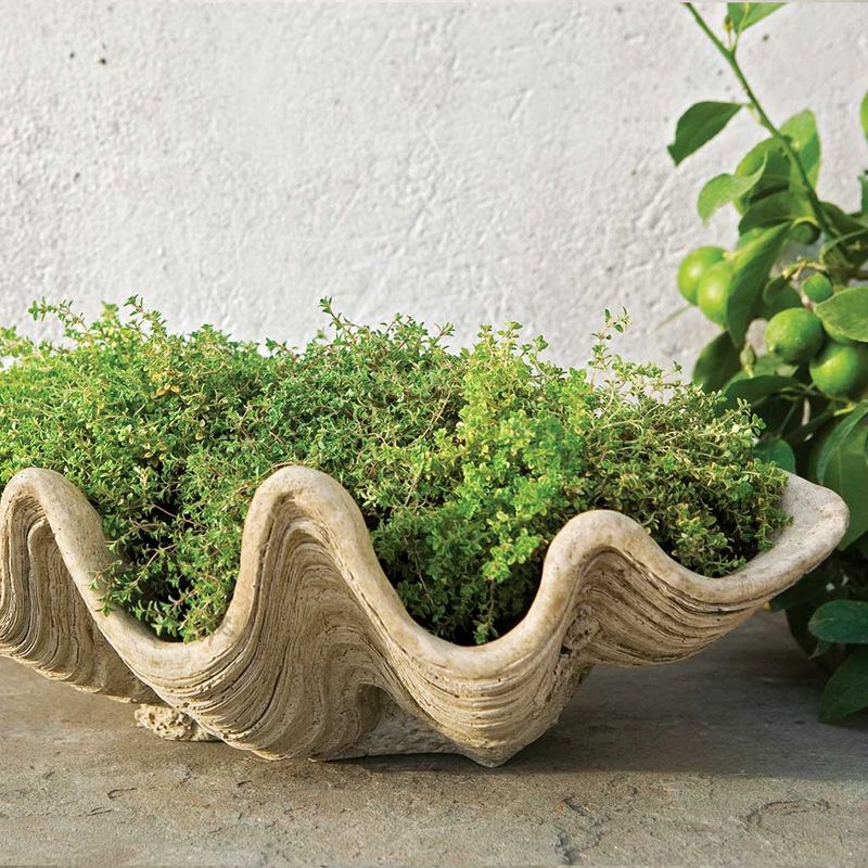 Giant Shell Planters
