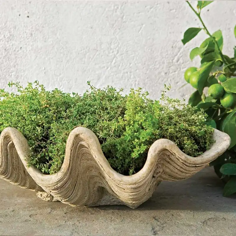 Giant Shell Planters
