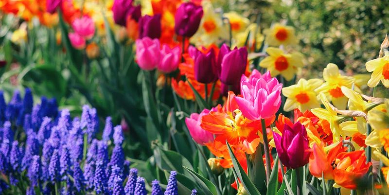 Seasonal Flower Parade