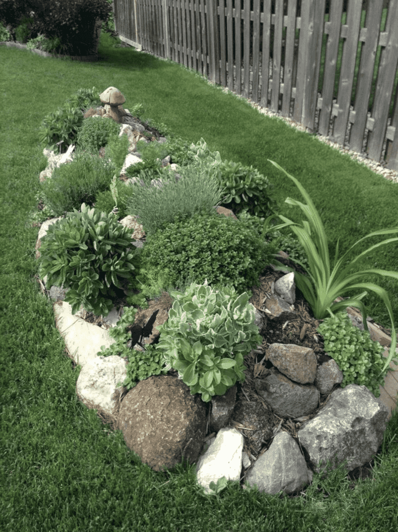 Perennial Border