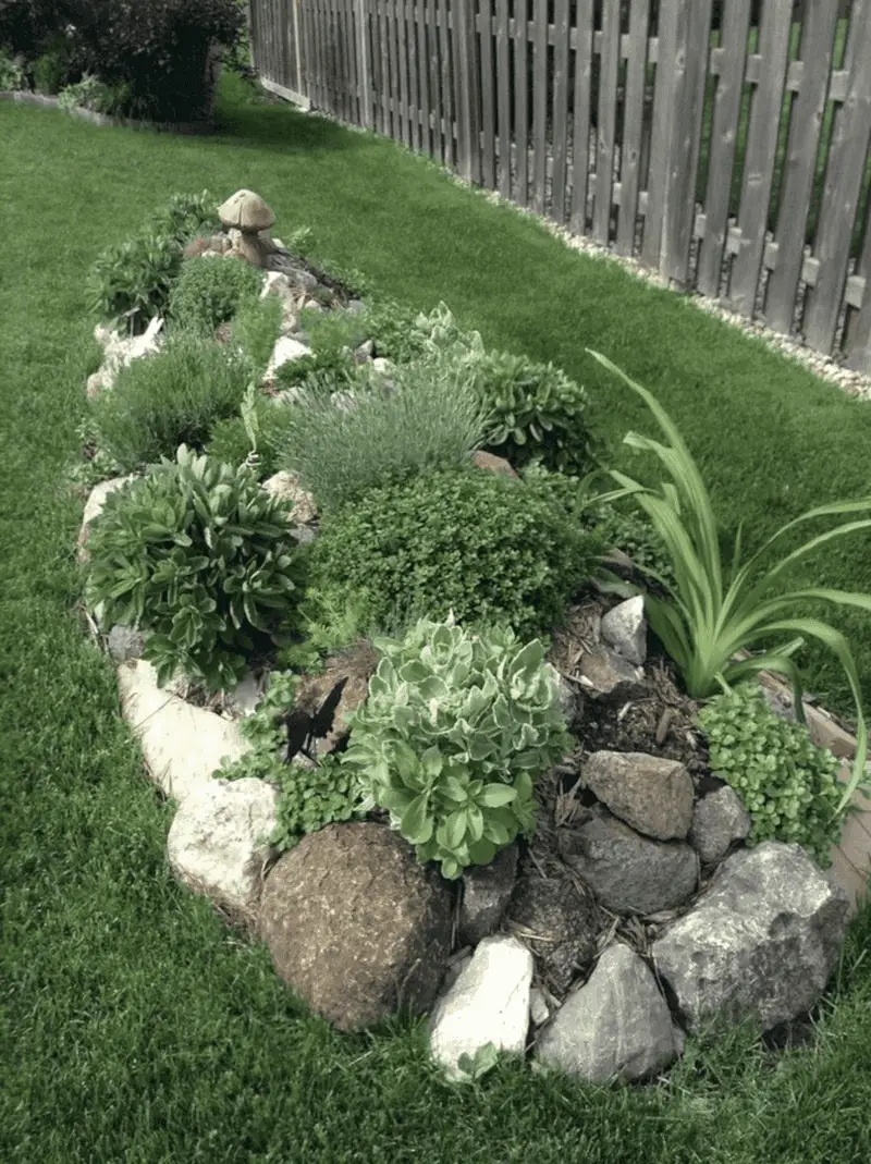 Perennial Border