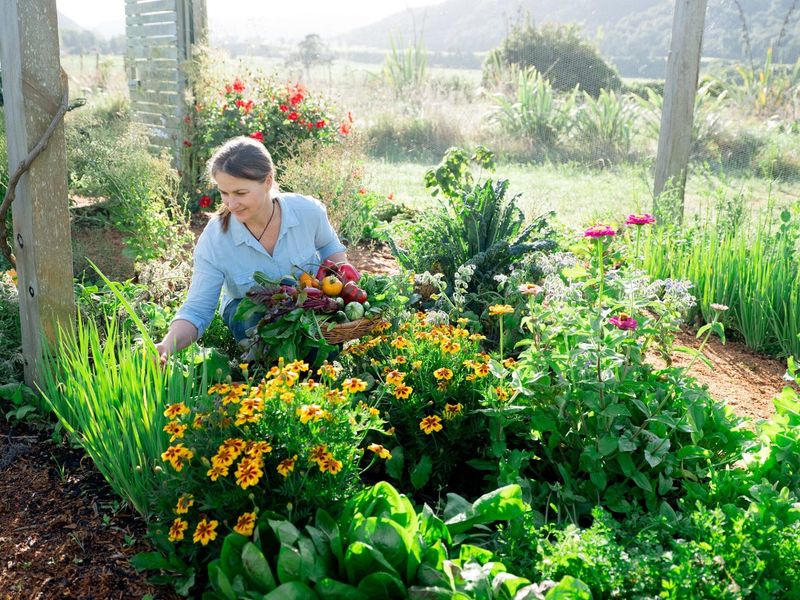 Edible Landscaping
