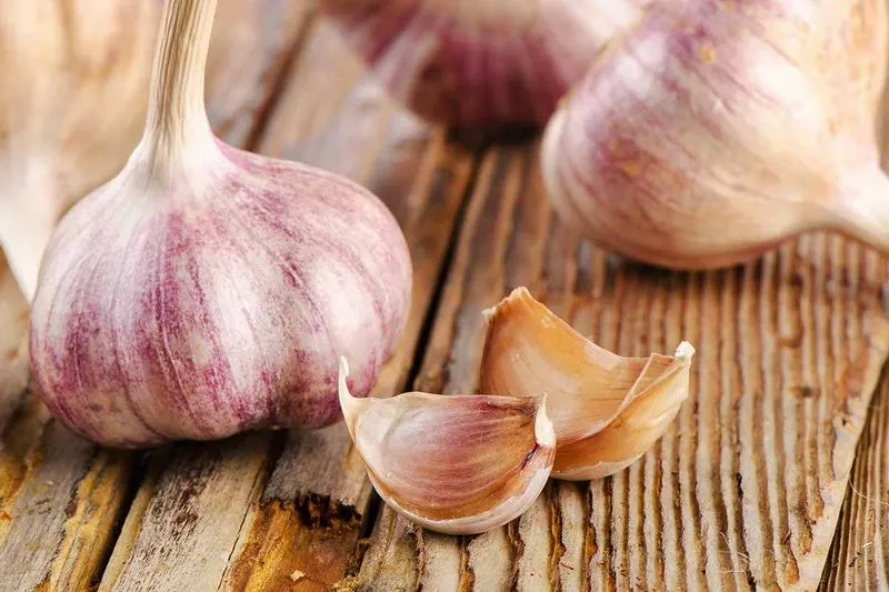 Italian Red Garlic