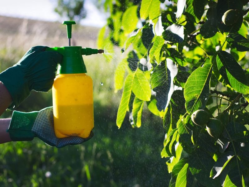 Nutrient Sprays