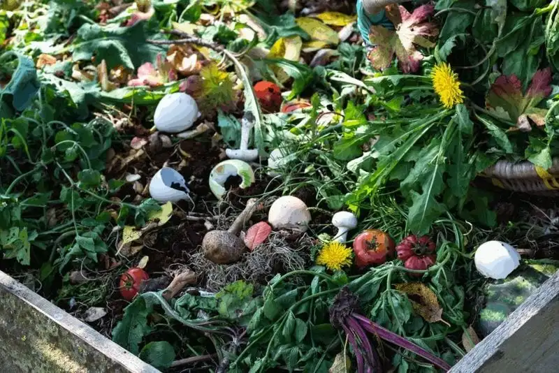 Green Materials