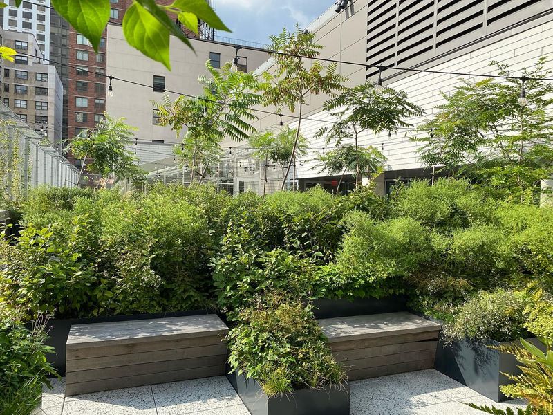 Green Roofs