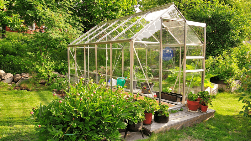 Greenhouse Guardianship