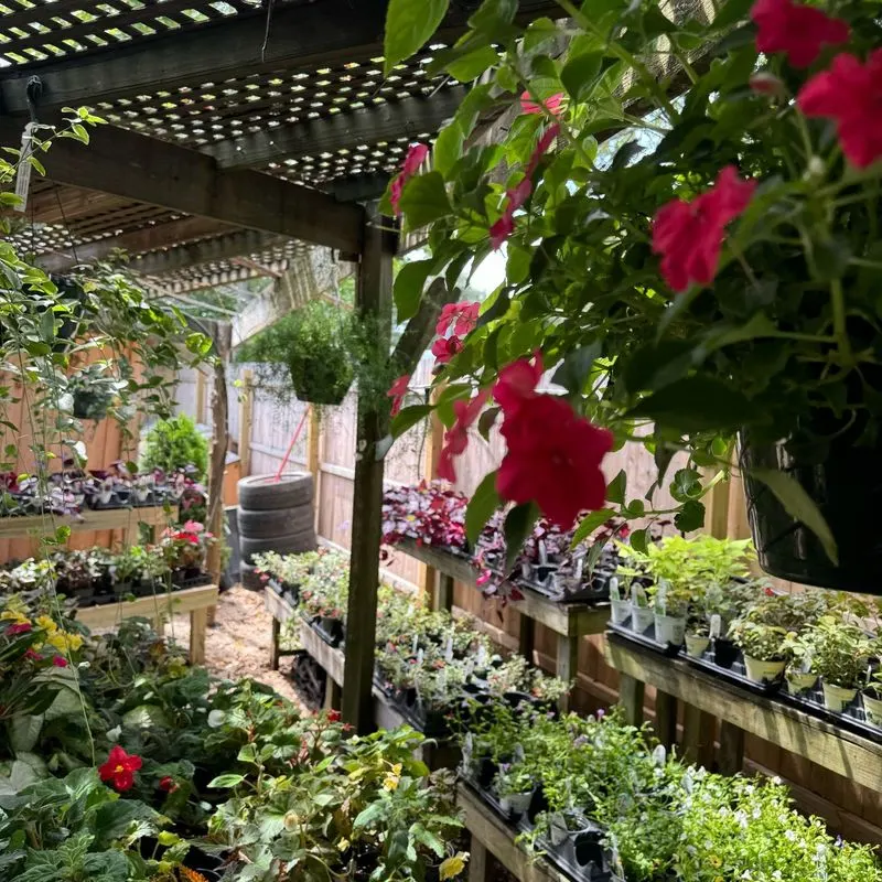 Greenhouses: Your Personal Eden