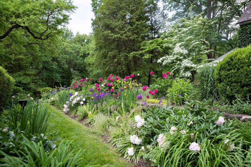 Growing Perennial Flowers