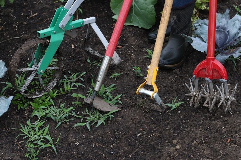 Hand Weeding Tools