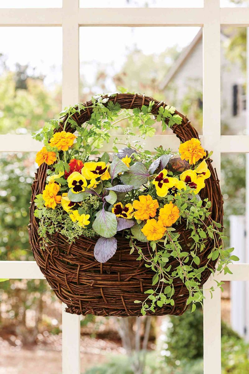 Hanging Basket Bonanza