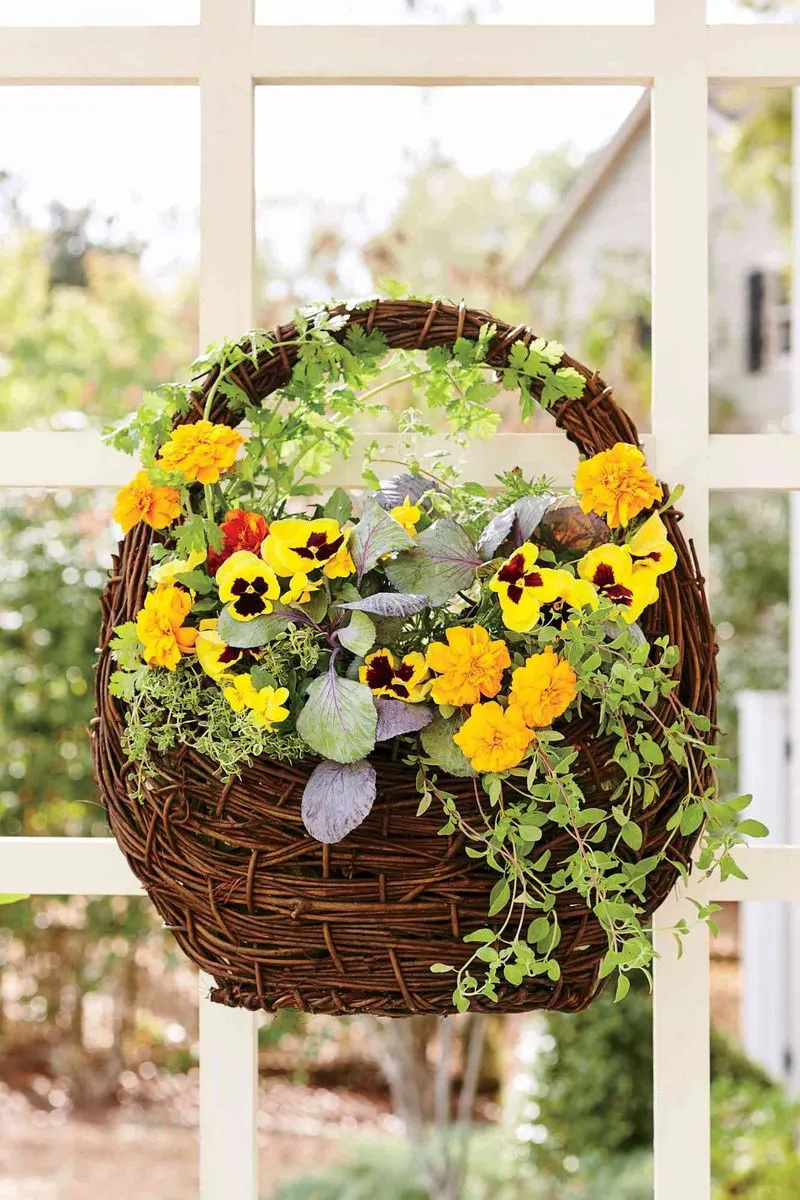 Hanging Basket Bonanza
