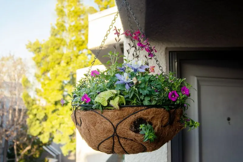 Hanging Planter Garden