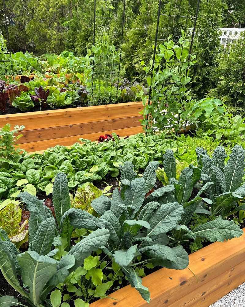 Harvesting Early Crops