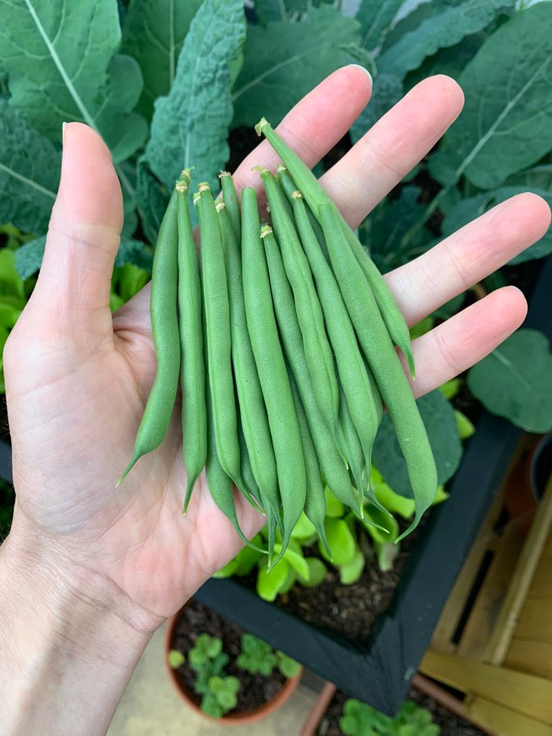 Harvesting Techniques