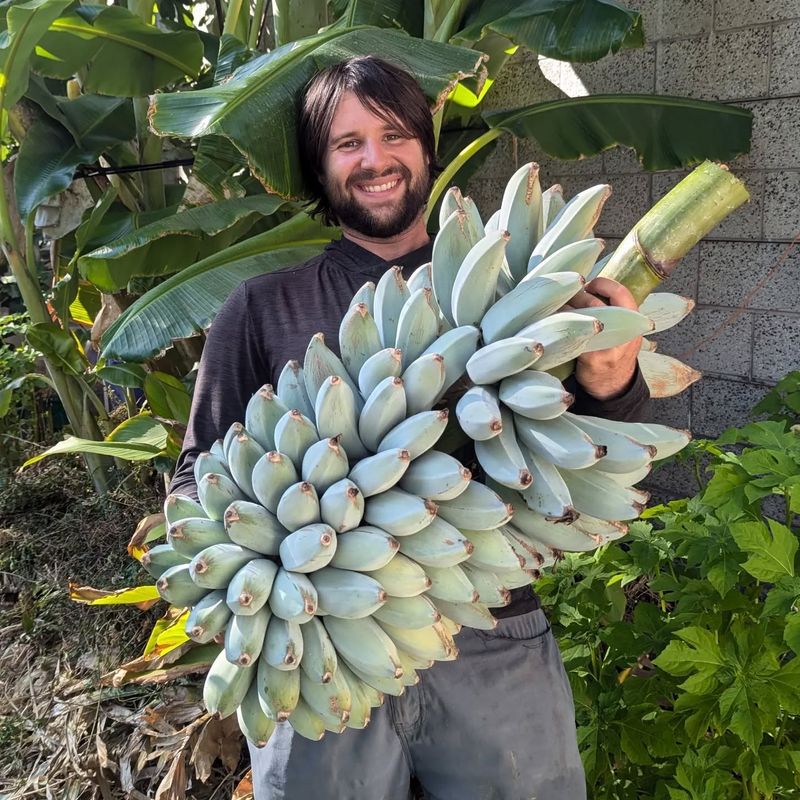 Storage and Ripening Methods