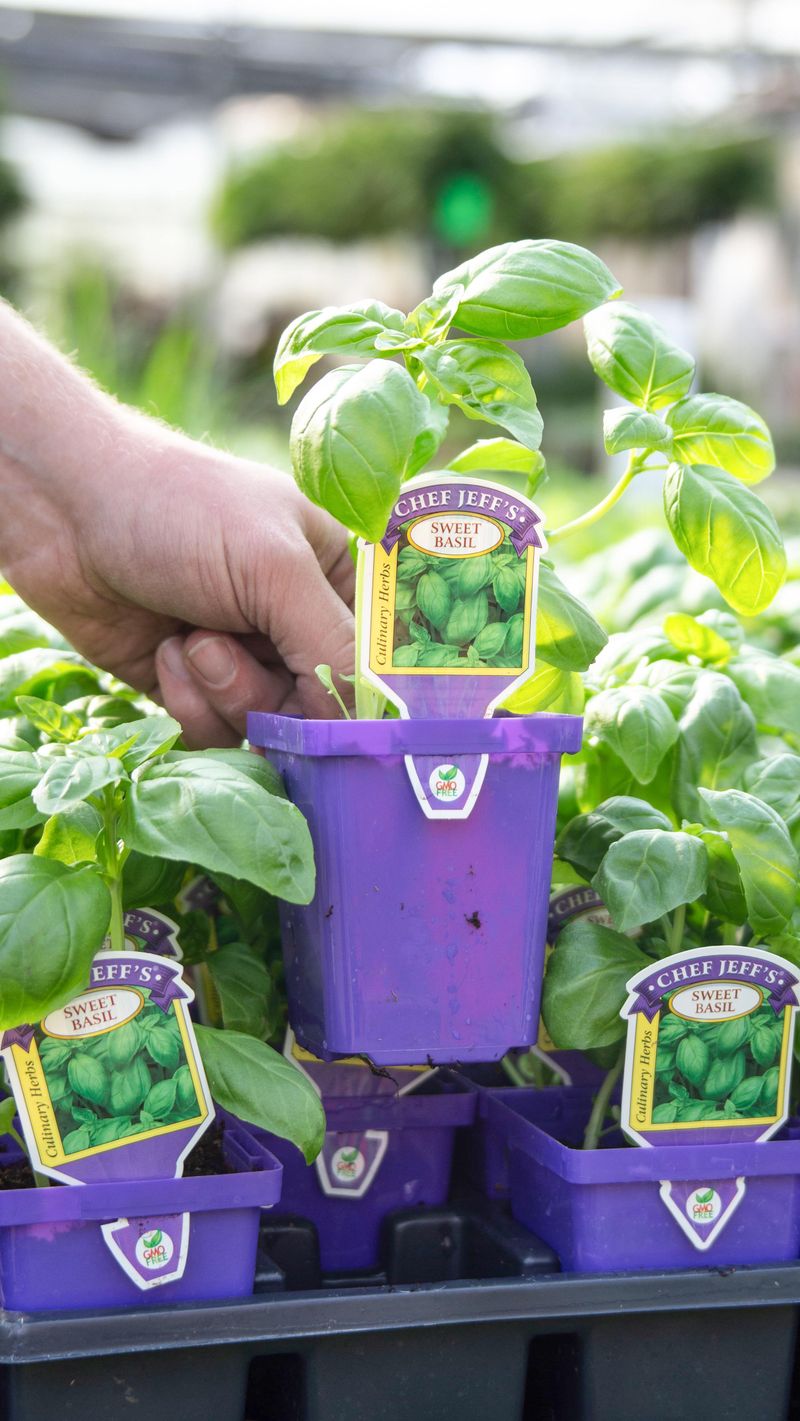 Harvesting Techniques