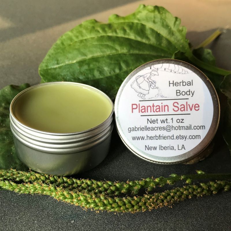 Healing Salves and Lotions