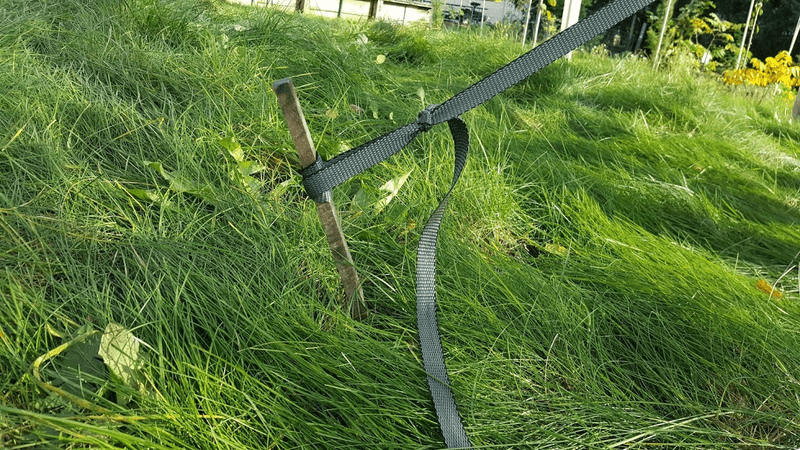 Stabilizing Guy Lines