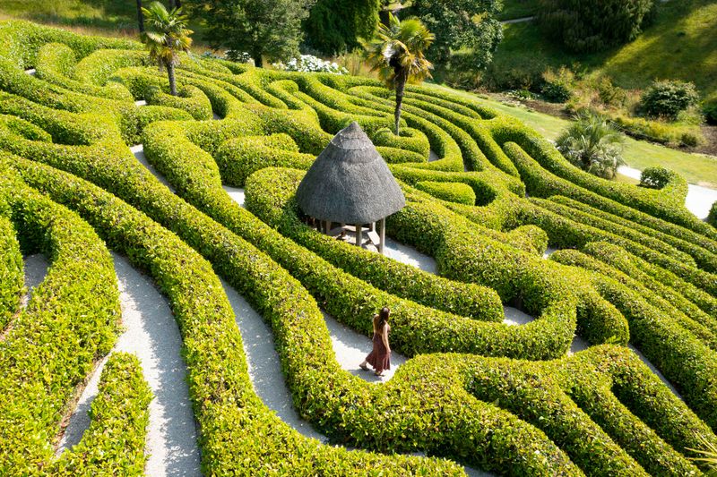 Hedge Mazes