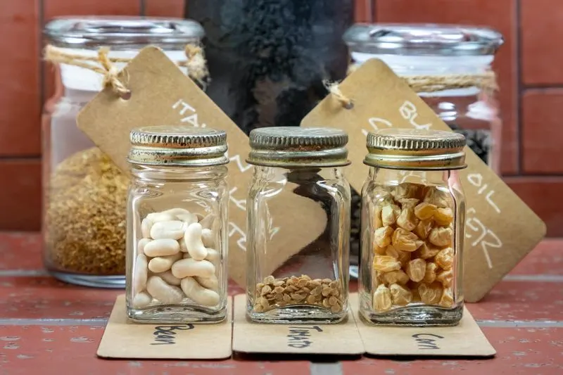 Heirloom Seed Preservation